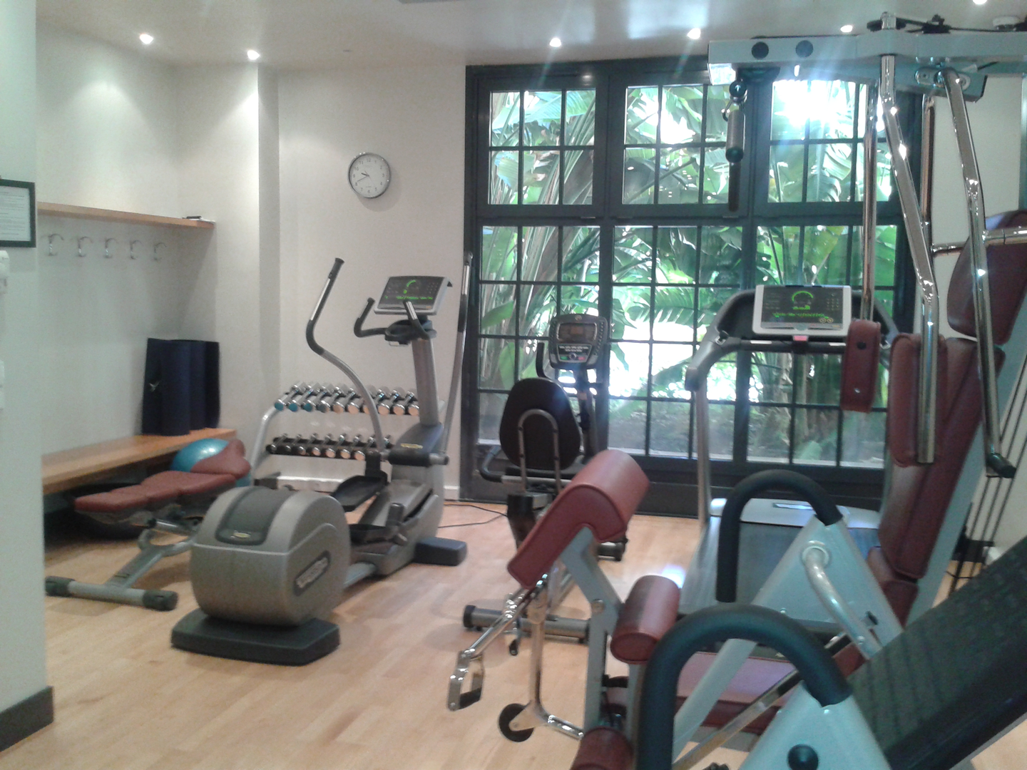 Residents gym at Cimabue Monaco with cardio machines and garden views