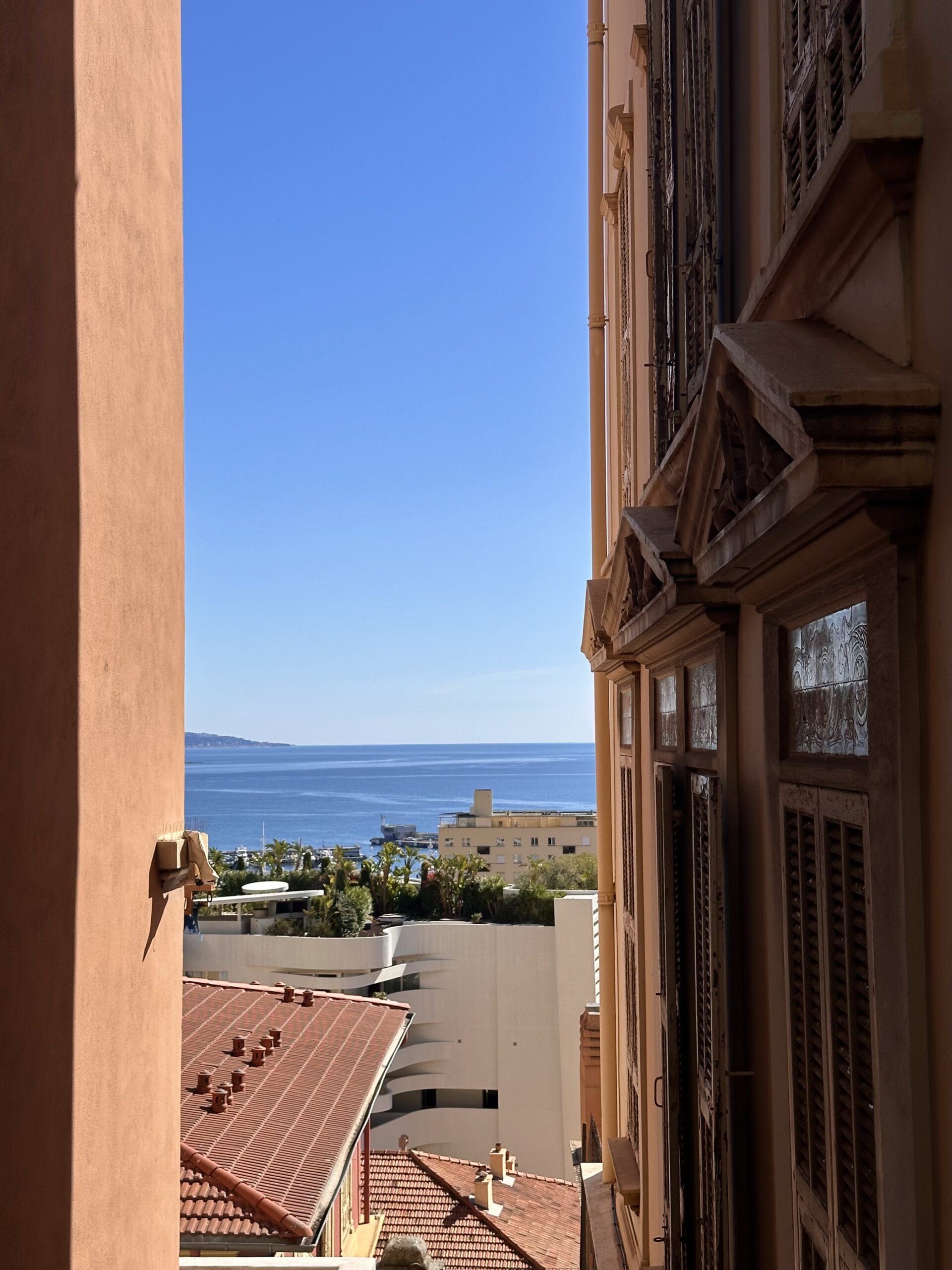 View over the Mediterranean from Moneghetti