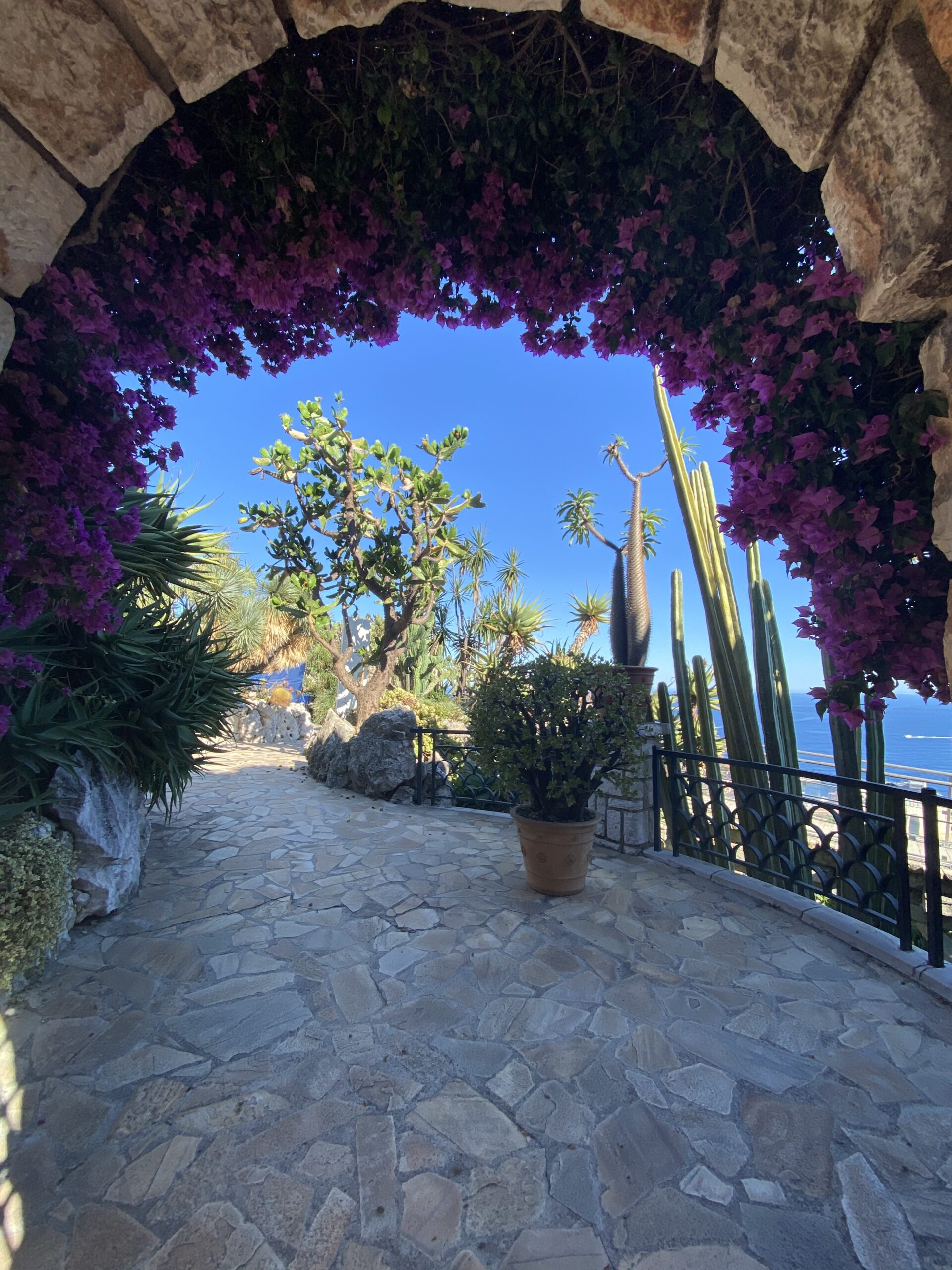 Jardin Exotique