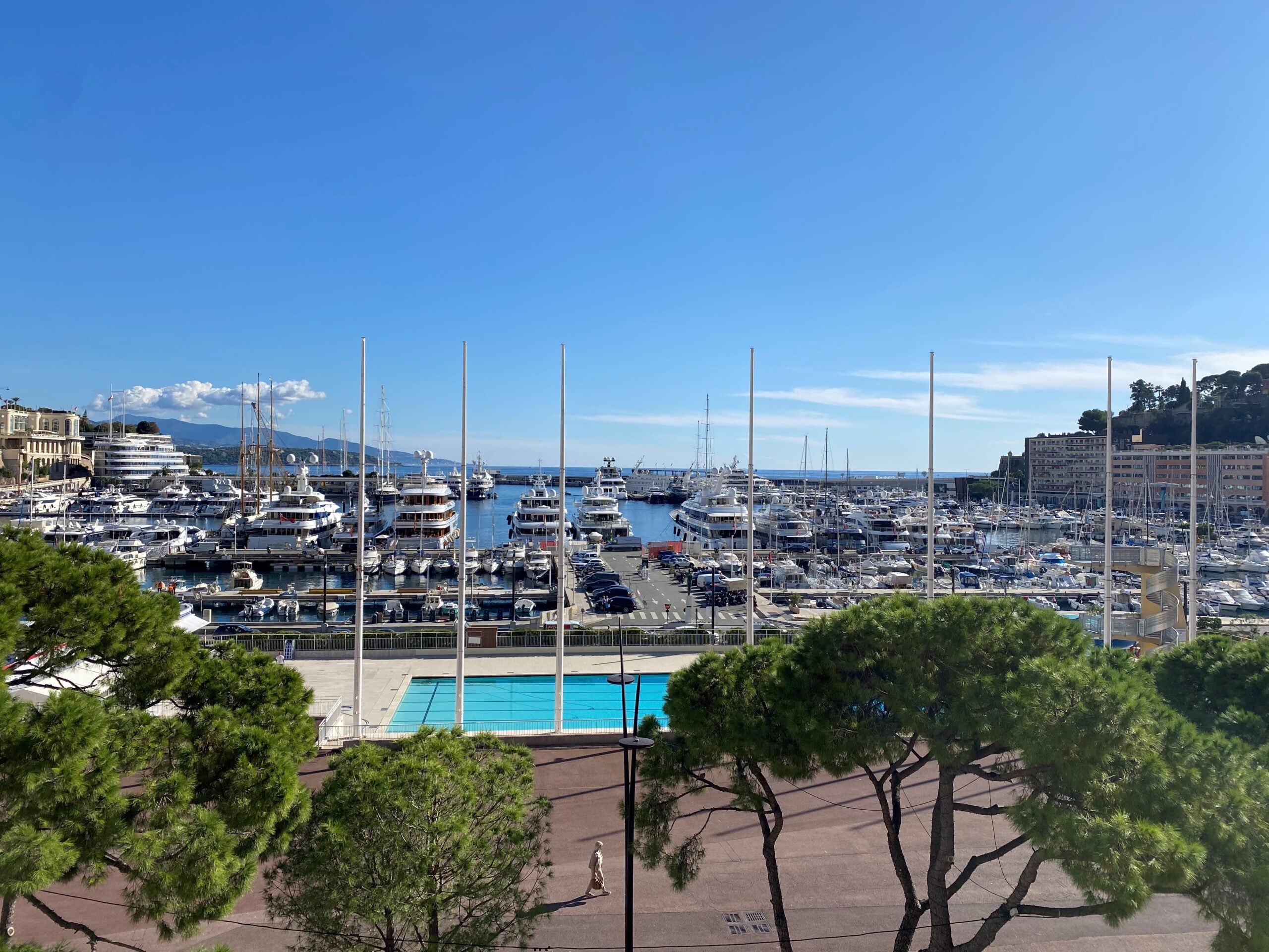 View over the port from Palais Heracles