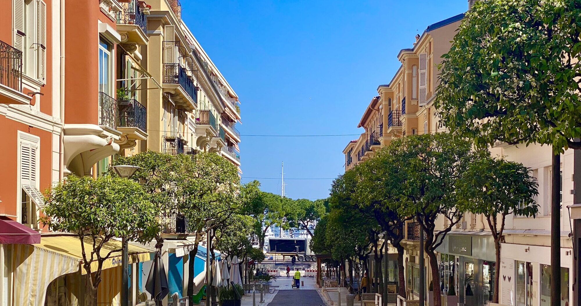 Tree-lined street in La Condamine Monaco leading down to the port