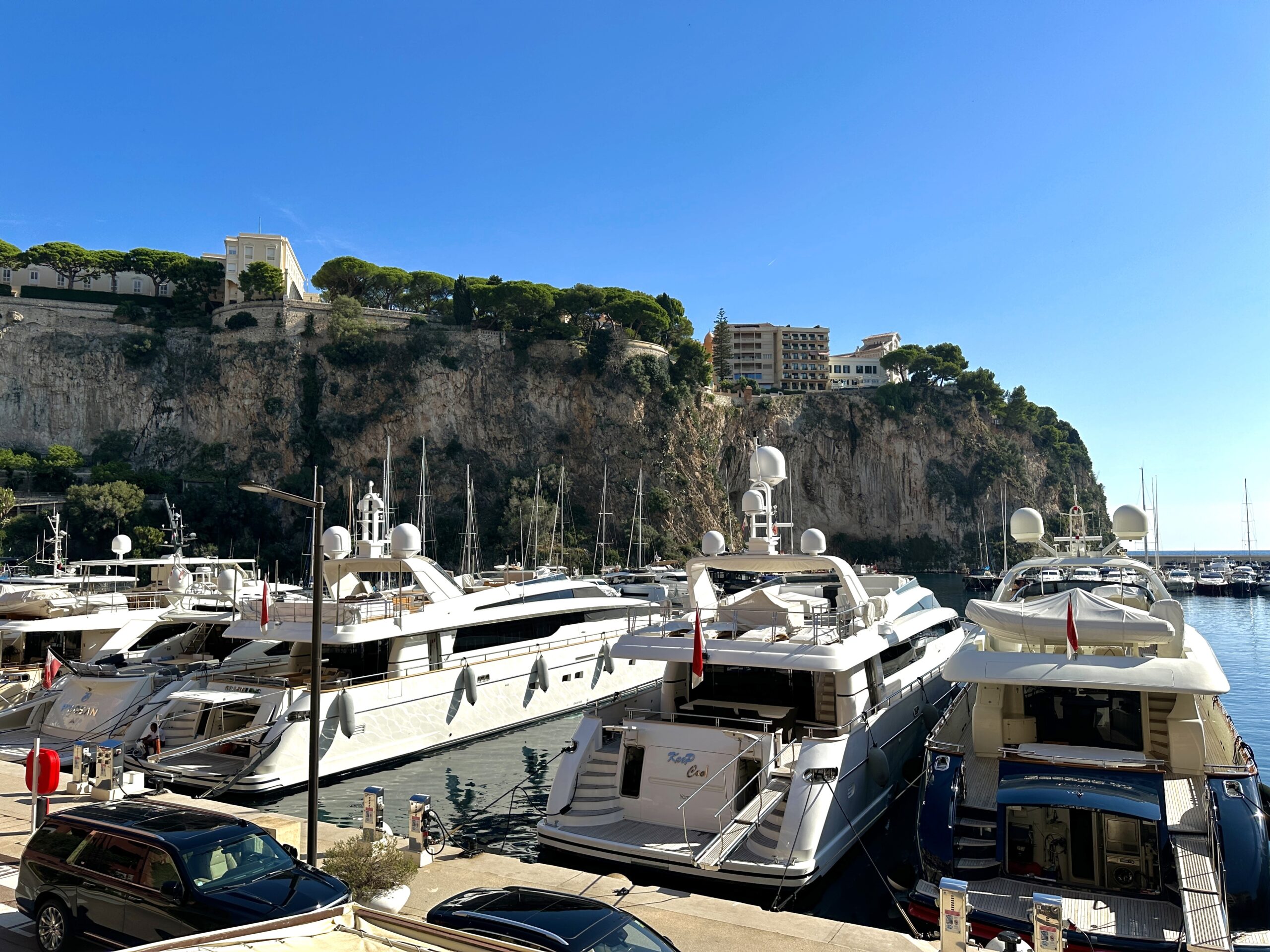Yachts moored at Port Hercule Monaco with the Rock of Monaco rising behind